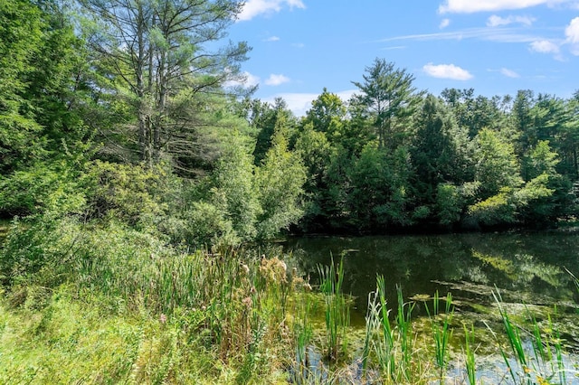 view of nature featuring a water view