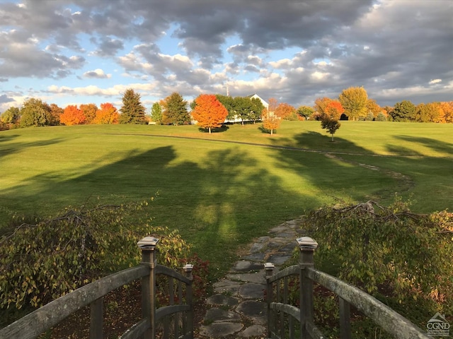 view of home's community with a yard