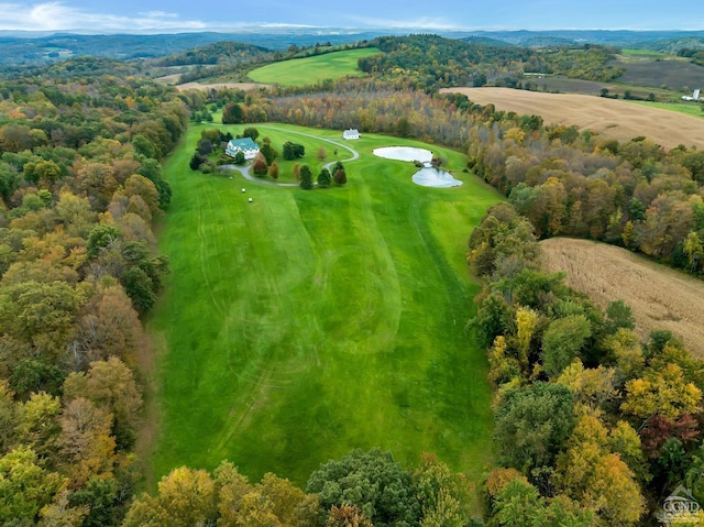 drone / aerial view with a view of trees