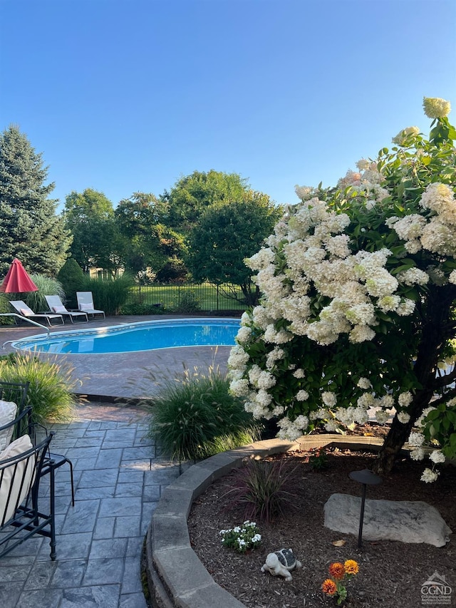 view of pool with a fenced in pool, a fenced backyard, and a patio area