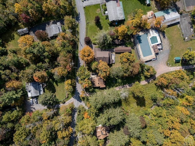 bird's eye view