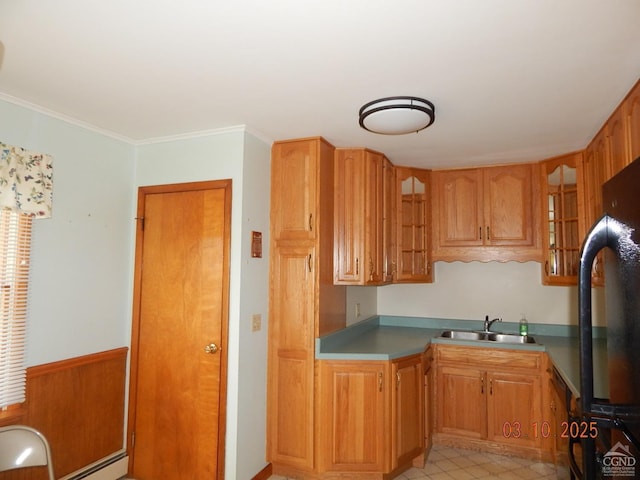 kitchen with a wainscoted wall, brown cabinets, a sink, crown molding, and glass insert cabinets