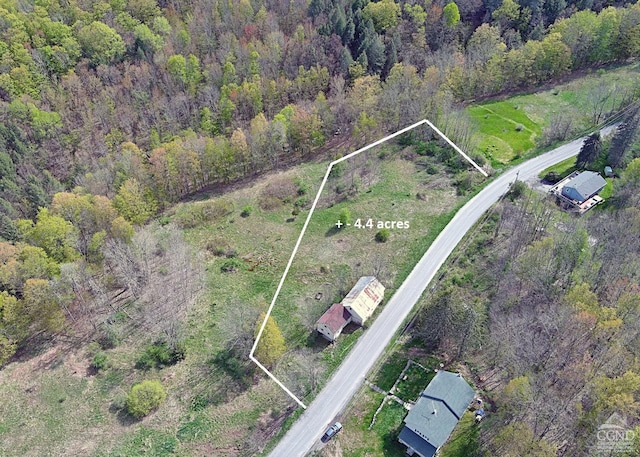 0 N Beech Ridge Rd, Westkill NY, 12492 land for sale