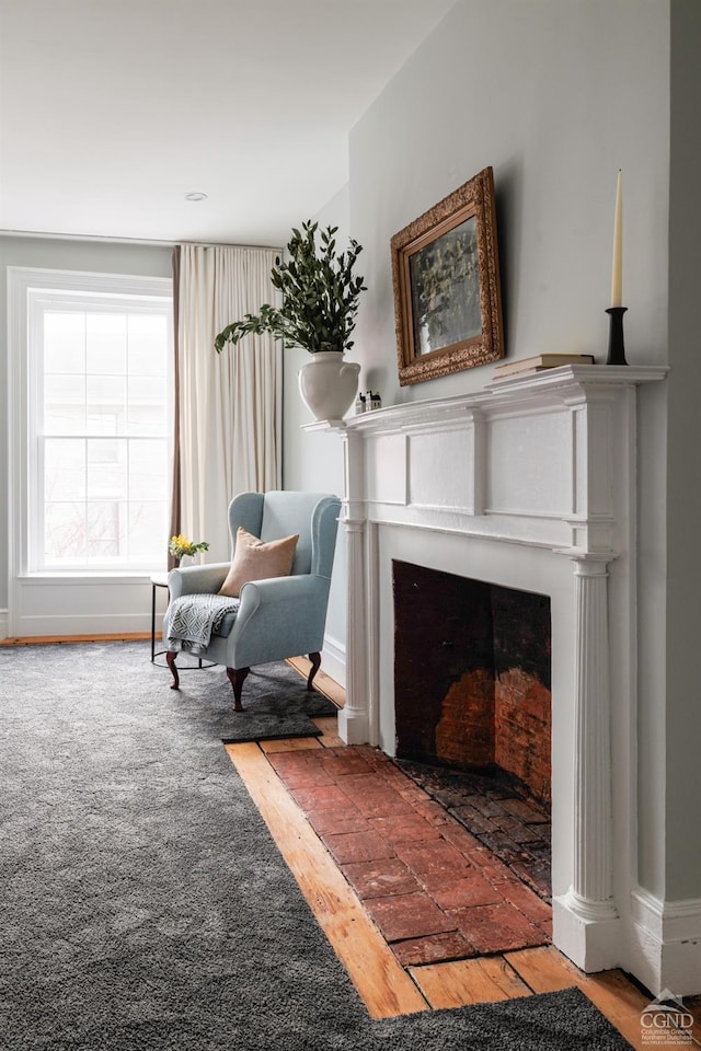 sitting room with carpet flooring