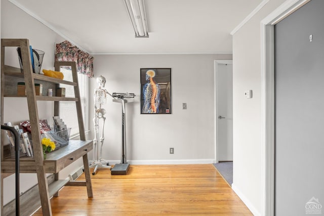 interior space featuring wood-type flooring and ornamental molding