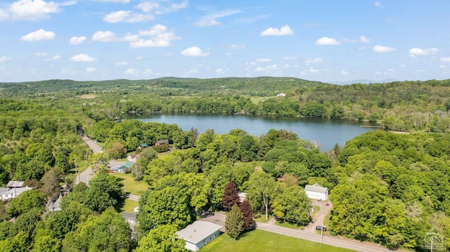 bird's eye view featuring a forest view and a water view