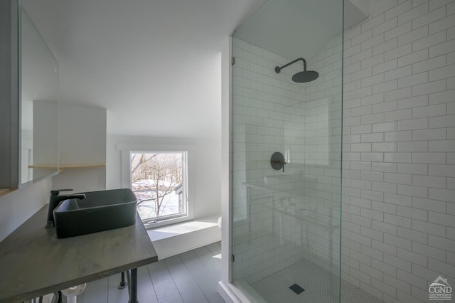 full bathroom featuring a shower stall and a sink