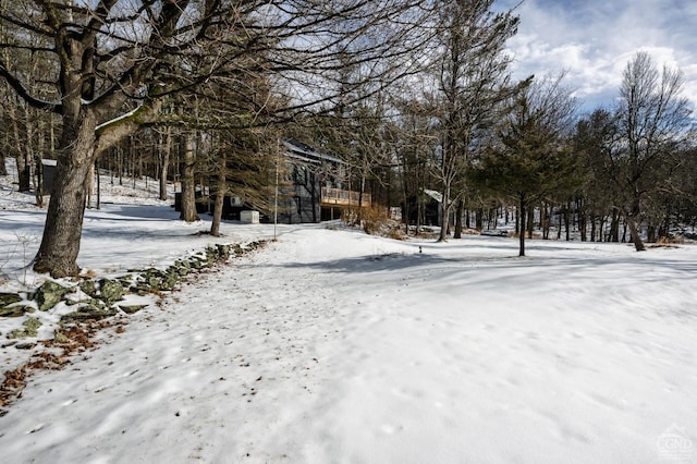 view of snowy yard