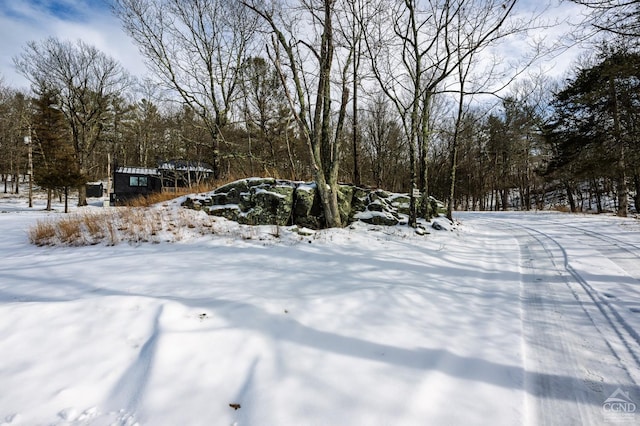 view of snowy yard