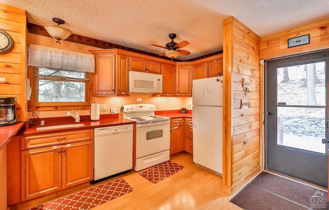 kitchen with ceiling fan, sink, light hardwood / wood-style flooring, wood walls, and white appliances