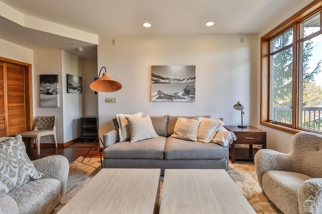 living room with hardwood / wood-style floors