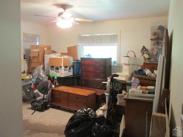 storage room with ceiling fan