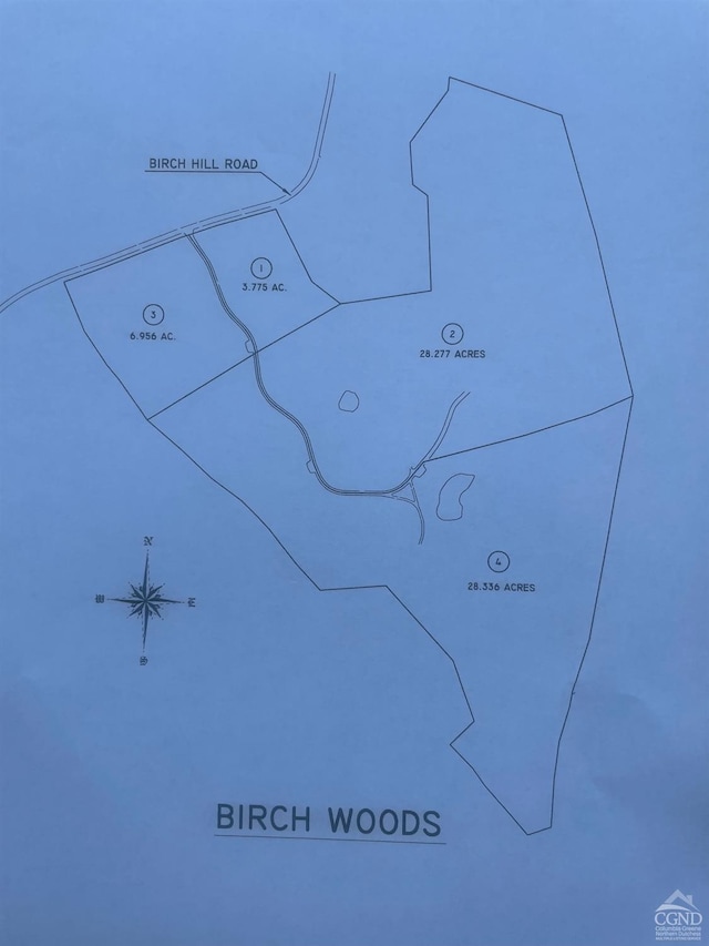 Listing photo 3 for 0 Birch Hill Rd Lot 2, Craryville NY 12521