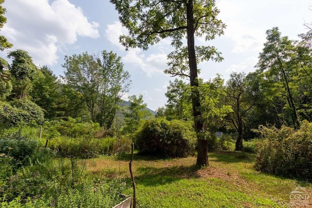 view of landscape