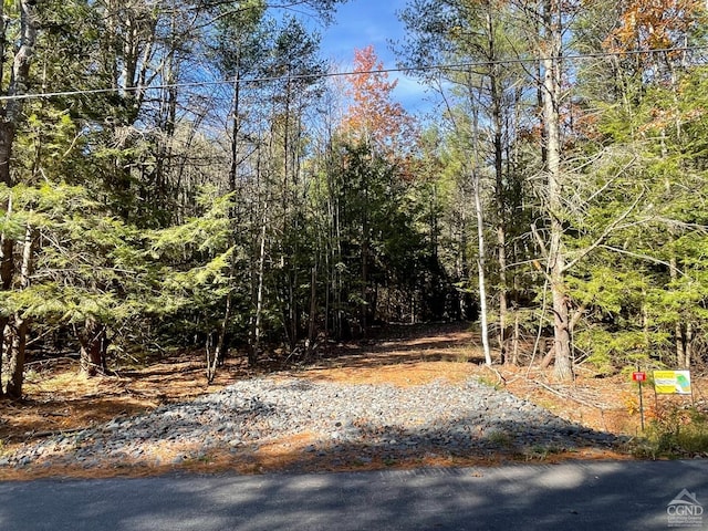 511 Campbell Lot 3, Ashland NY, 12407 land for sale