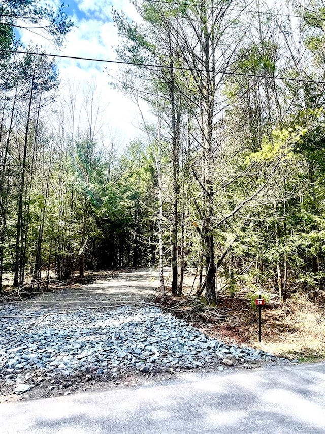 Listing photo 3 for 511 Campbell Lot 3, Ashland NY 12407