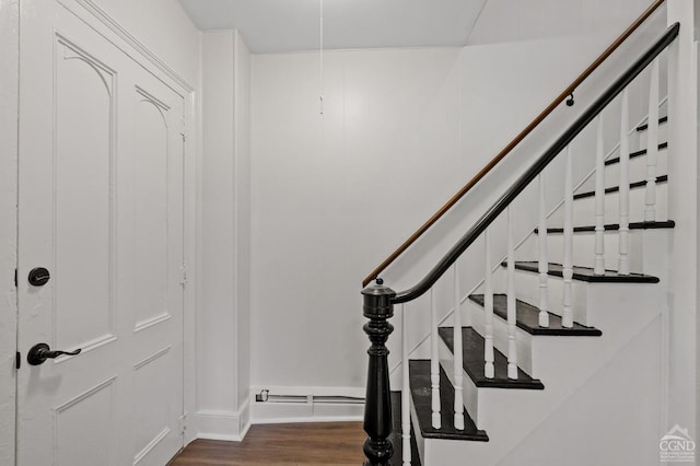 staircase featuring wood-type flooring