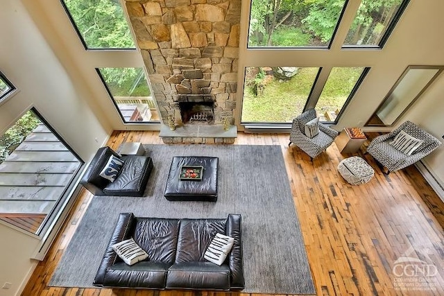 living room with a fireplace, a high ceiling, and hardwood / wood-style flooring