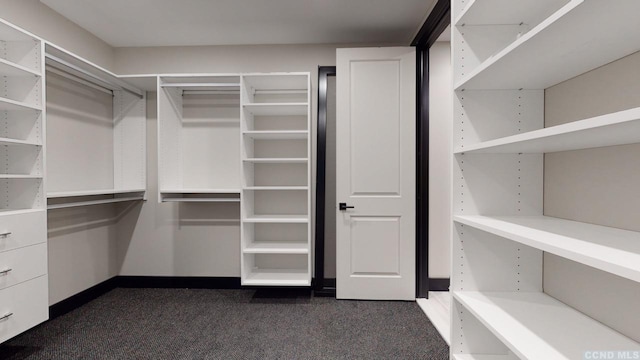 spacious closet with dark colored carpet