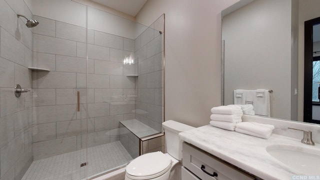 full bathroom featuring toilet, a stall shower, and vanity