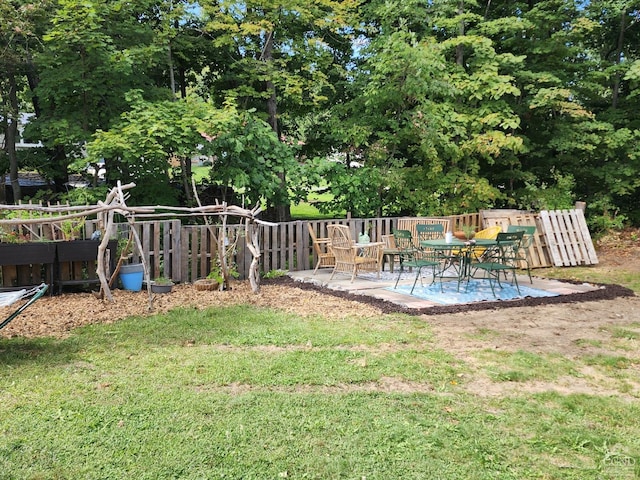 view of yard featuring a patio area