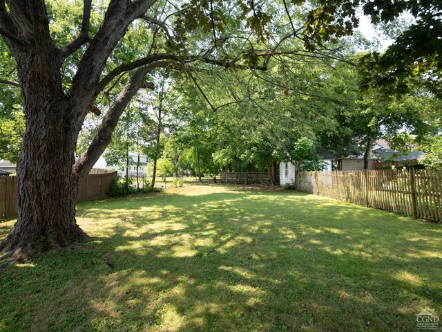 view of yard