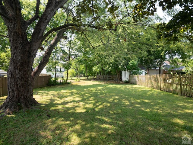 view of yard with a fenced backyard