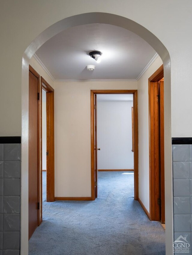 hall with light colored carpet and ornamental molding