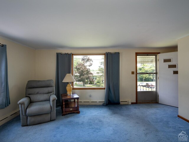 living area featuring plenty of natural light, carpet floors, and a baseboard radiator