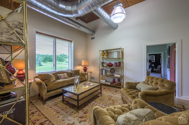 living room featuring hardwood / wood-style floors and a high ceiling