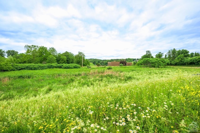 view of nature featuring a rural view