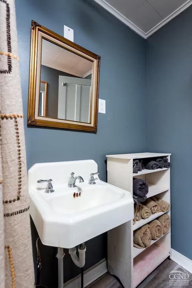bathroom featuring ornamental molding and wood finished floors