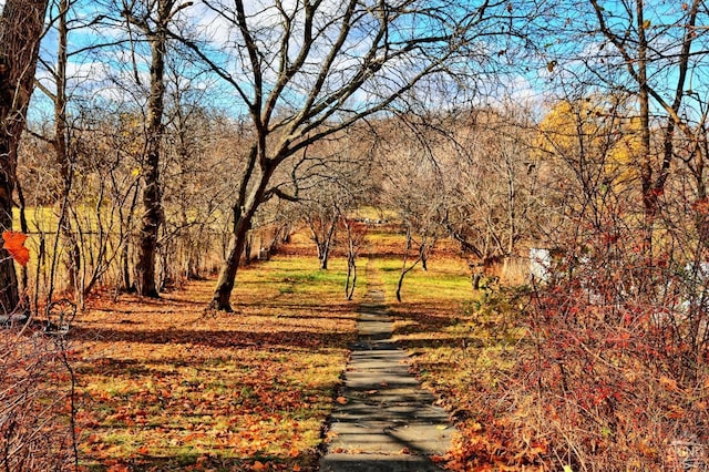 view of property's community