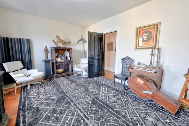 living area featuring dark wood-type flooring