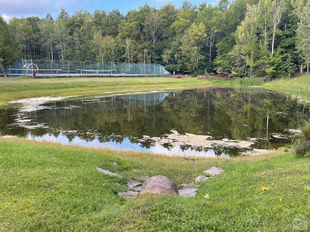 view of water feature