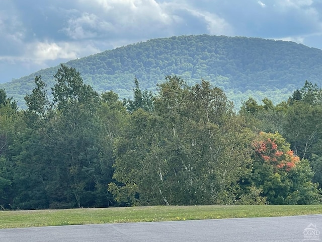 view of mountain feature