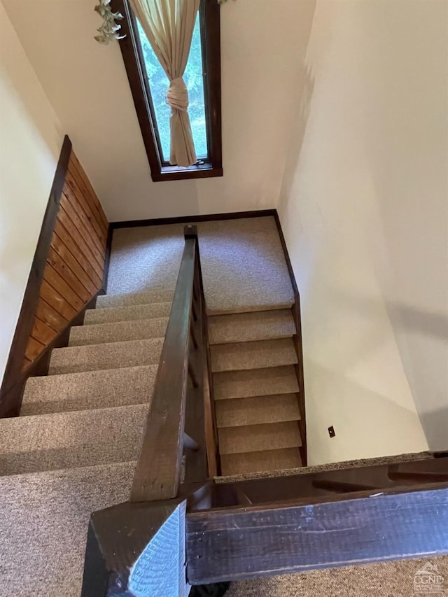 stairway with carpet