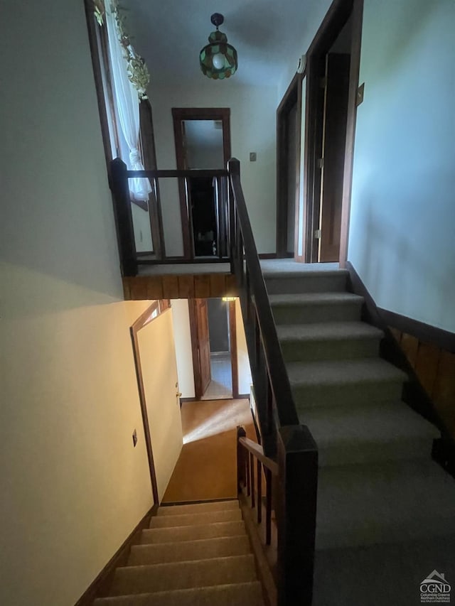 stairway with carpet flooring