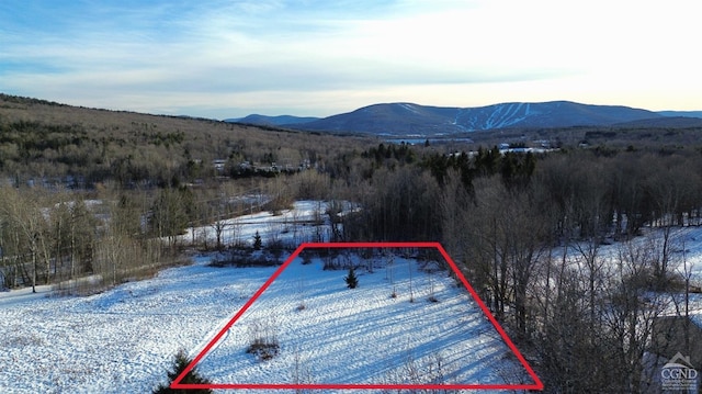 886 Mill St Unit 1, Windham NY, 12496 land for sale