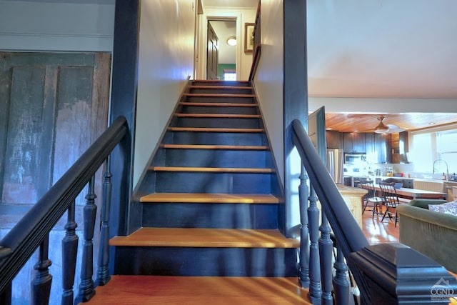 stairway featuring ceiling fan, sink, and wood-type flooring