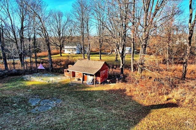 view of yard with a storage unit