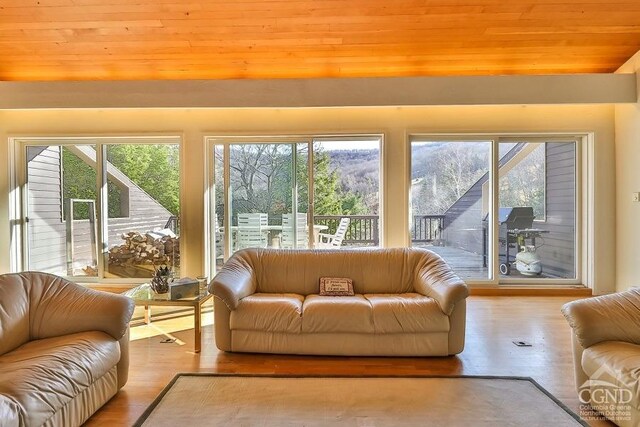 living room featuring light hardwood / wood-style flooring and wood ceiling