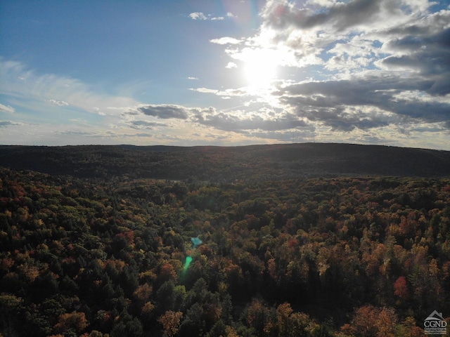 276 E Hill Rd, Austerlitz NY, 12017 land for sale