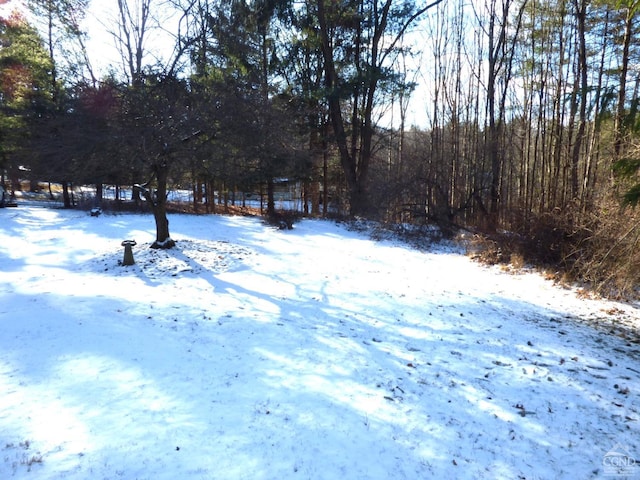 view of yard covered in snow