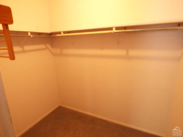 spacious closet with carpet flooring