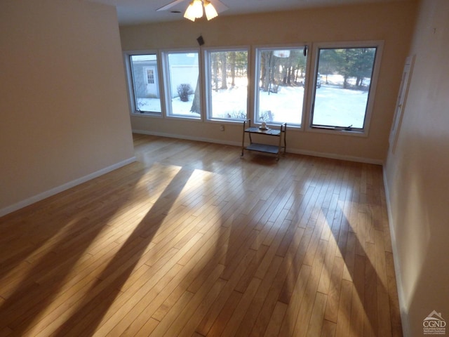 spare room with ceiling fan and light wood-type flooring