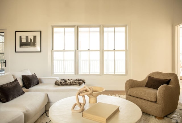 living room featuring hardwood / wood-style flooring