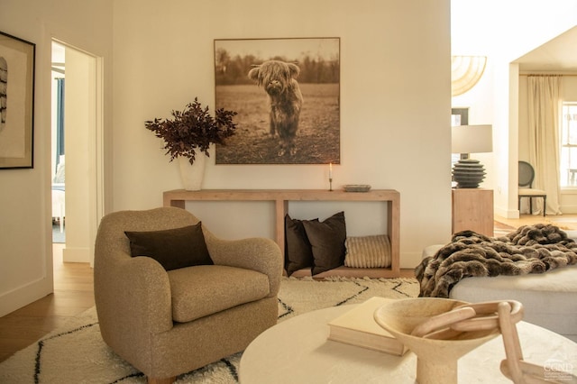 sitting room featuring light wood-type flooring