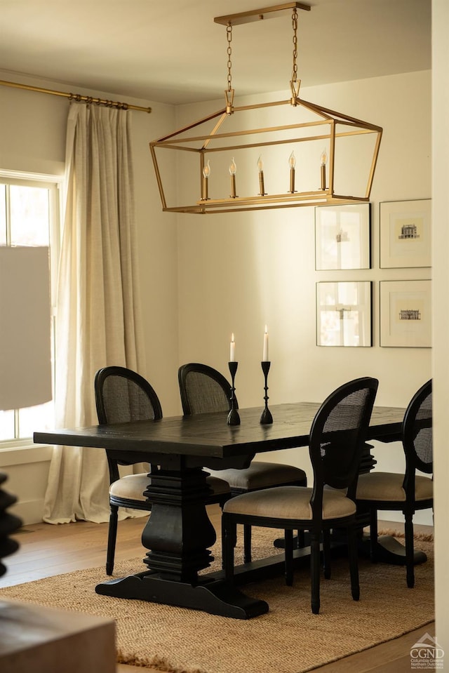 dining room with a healthy amount of sunlight and hardwood / wood-style floors