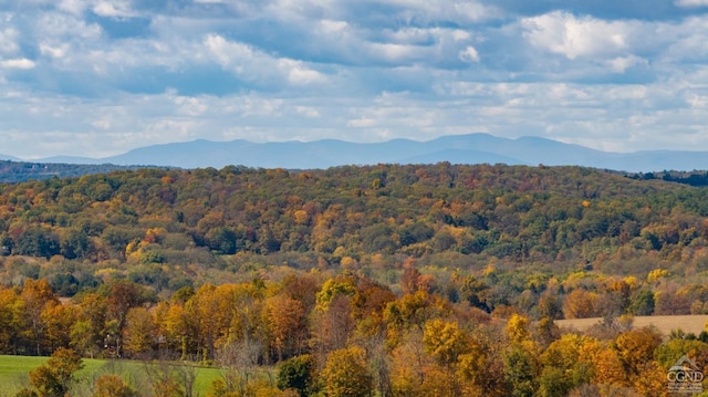 property view of mountains